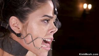 Brunette beauty is bound in devices