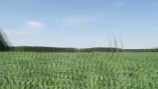 Hot babe sucks and fucks in nature