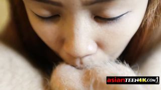 Small tits Asian teen is sucking a cock