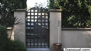 TS Kayleigh enjoys sucking dudes BBC