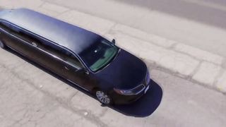 Bisexual swinger babes are cumming