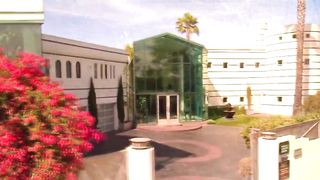 Oral sex for a hot swinger wifey