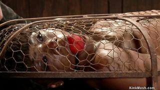 Master zappers ebony slave in cage