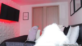 Busty clothed camgirl sucks vibrator