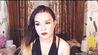 Brunette webcam girl chatting