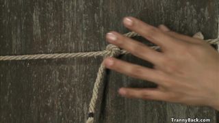 Big booty shemale fucks bound man