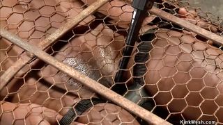 Ebony in back arch bondage vibrated