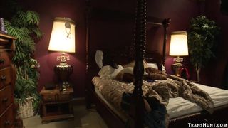 Shemale cleaning lady anal fucks blonde