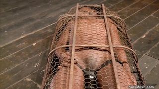 Ebony sub in wire cage vibrated