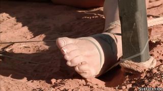 Predators whip bound slut in desert