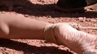 Predators whip bound slut in desert