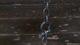 Tiny alt slave in a predicament device