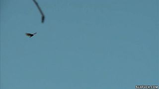 Piano teacher ties and fucks student