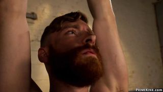 Busty mistress in latex pegs man