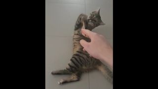 Big Hairy Pussy Playing with a Young Man's Stick