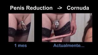 REDUCE Cuckold's Cock Size so that he is more Humiliated and Obedient in Chastity FEMDOM
