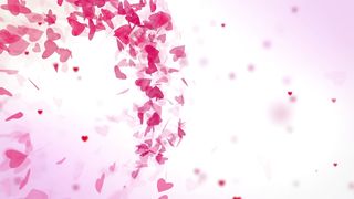 My Stepsister Blew Me In The Car - Scarlett Fall