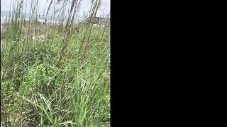 Tattooed Couple Enjoys Raw Sex Outdoors