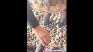 Fuck Rich Bitch Outdoor, in Car and hers House