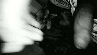 Hermoso Pene De Virgen Masturbandose Quiere Sexo Oral | Vírgenes