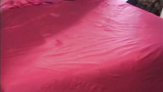 Pregnant bimbo with big tits gets fucked