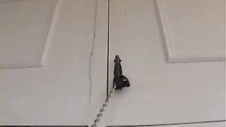 Pink Puncher Shameful Diray Vol 2