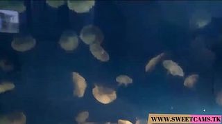 Dee Dee Lynn takes a creampie after your POV virtual date with hardcore sex - WWW.SWEETCAMS.TK