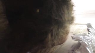 Enacting our very dark fantasy, I deliberately got messed up so he could take advantage.