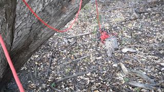 Famous facial on her face Luna Rain