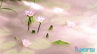 outdoor threesome sex