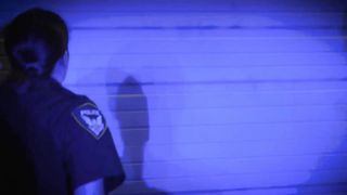 Bogus soldier is persuaded into sex