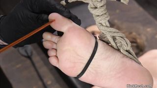 Babe in horizontal hogtie suspension