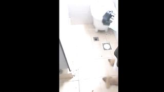 Asian Posing, Then Bathroom Sex, Then Car Play