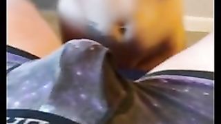 Give a ride with her tight pussy