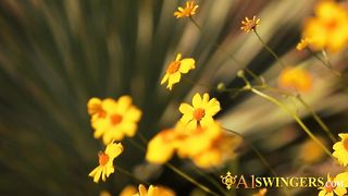 The Red Room is full of pleasure