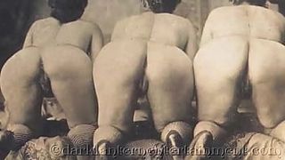 The Erotic Confessions of a Victorian English Gentleman II