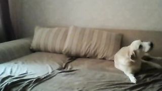 TATOOIED red head suck and fuck