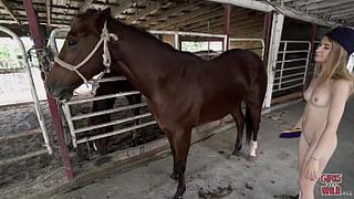 Bangbros Network Kristy May & A Big Black Dildo