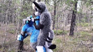 Horny furries fuck in the wild