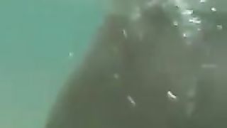 Hitomi Tanaka At The Beach