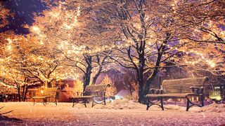 Snow Jazz Instrumental - Relaxing Jazz Winter For Study, Sleep, Cafe, Work - Smooth Night Jazz Music