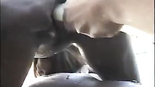 SEXY EBONY MUFFDIVERS BY THE POOL...usb