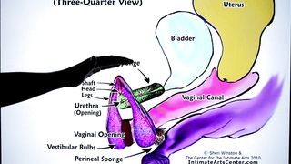 HOW TO SQUIRT ?! Explained FAST !!! Mr PussyLicking