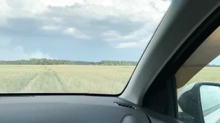 Picked up a fellow traveler and fucked her juicy pussy in an open field