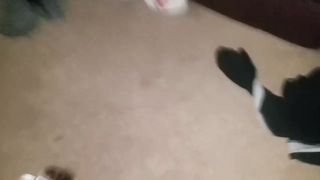 Pink haired PAWG gets pounded out!