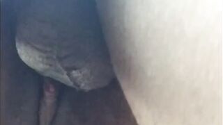 Creamy Pussy Slut Takes Bbc