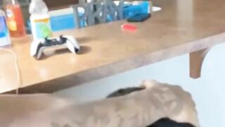 Ebony Teen Sucking BBC